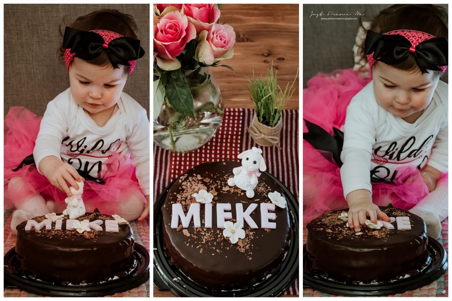 mieke cake smash 4jpg
