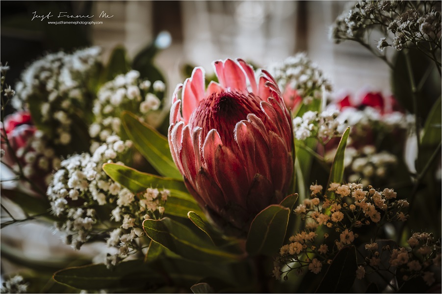 Wyse Wedding 2019 social media ready 123jpg