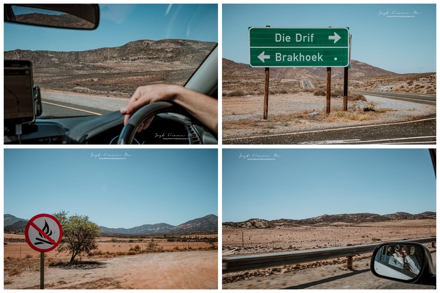 springbok 2jpg